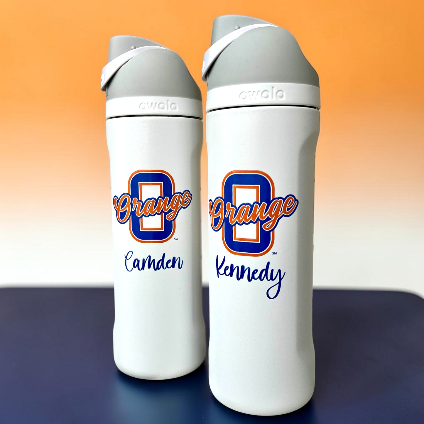 Owala® FreeSip® 24oz Water Bottle | Olentangy District High Schools